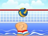 Play Volley ball now