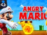 Play Angry mario world now