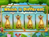 Play Which is different animal now