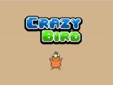 Play Crazy bird now