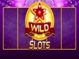 Play Wild slot now