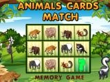 Play Animals cards match now
