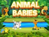 Play Animal babies now