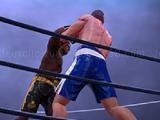Play Ultimate boxing now