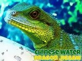 Play Chinese water dragon jigsaw now