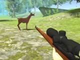 Play Deer hunter 3d now