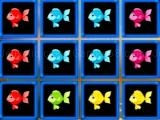Play 1010 fish blocks now