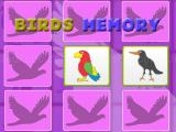 Play Kids memory game - birds now