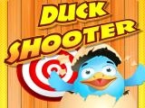 Play Duck shooter now