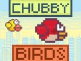 Play Chubby birds now