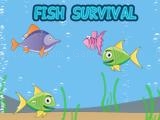 Play Fish survival now
