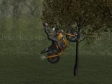 Play Mountain bike rider now