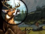 Play Deer hunter now
