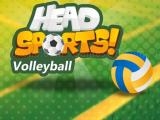 Play Head sports volleyball now