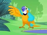 Play Parrot pal coloring now