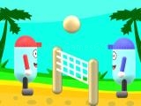 Play Beach volleyball now