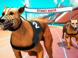 Play Crazy dog racing fever now