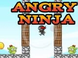 Play Angry ninja now