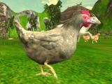 Play Chicken shooting now