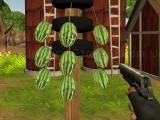 Play Watermelon shooter now