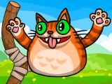 Play Angry cat shot now