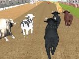 Play Bull racing