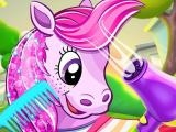 Play Pony pet salon