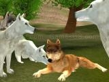 Play Wild wolves