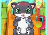 Play Cat doctor now