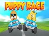 Play Puppy race now