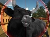 Play Bull shooting now