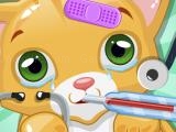 Play Little cat doctor now