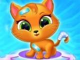 Play Cute cat doctor now