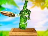 Play Real bottle shooter game now