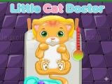 Play Little cat doctor 2026 now